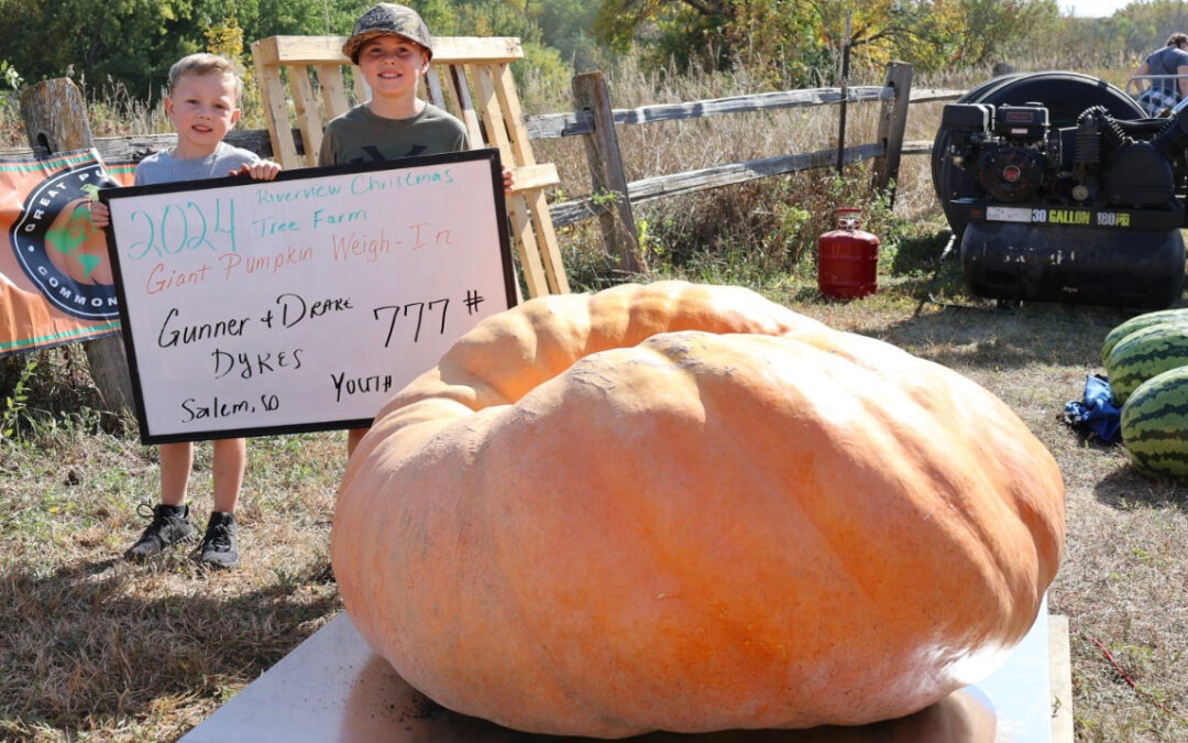 Dykes Boys Grow Nearly 800 LB. Pumpkin