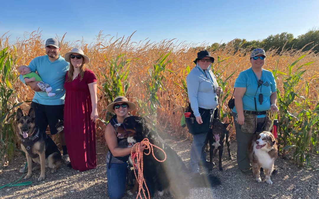 Prairie Dogs Search and Rescue has training session at Streff farm